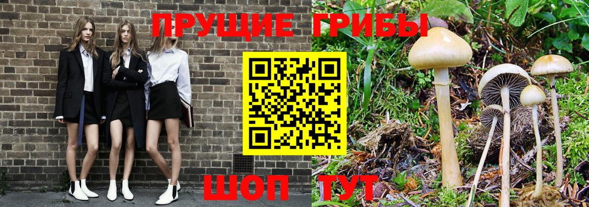 Киреевск  хочу наркоту  Вход с VPN  Псилоцибиновые грибы Psilocybine cubensis 